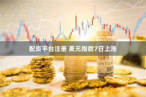 配资平台注册 美元指数7日上涨