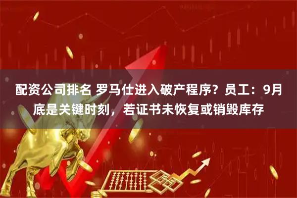 配资公司排名 罗马仕进入破产程序？员工：9月底是关键时刻，若证书未恢复或销毁库存