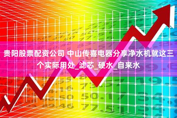 贵阳股票配资公司 中山传喜电器分享净水机就这三个实际用处_滤芯_硬水_自来水