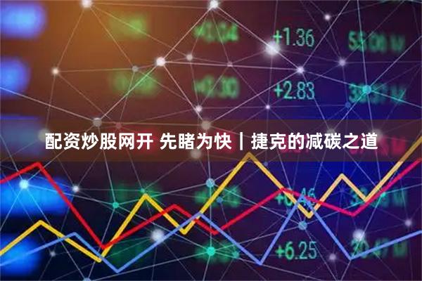 配资炒股网开 先睹为快｜捷克的减碳之道